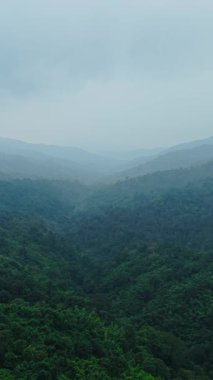 Mae Wong Ulusal Parkı 'nda bulut ve sisle kaplanmış tropikal orman FullHD yatay