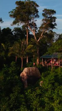 Turistler, insansız hava aracı manzaralı verimli bitki örtüsüyle çevrili kayaların yanına inşa edilmiş ahşap bir kulübede toplanıyorlar.