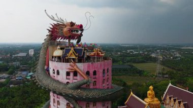 Ejderha heykeli Tayland 'daki Wat Samphran tapınağında canlı pembe bir kule etrafında kıvrılır - 4K Yatay