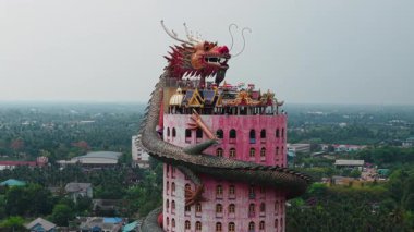 Ejderha heykeli Wat Samhran 'da canlı pembe bir kule etrafında kıvrılır Tayland' da bir Budist tapınağı - 4K Yatay