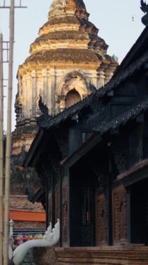 Genç Latin bir adam Budist tapınağının bahçelerinde tek başına geziniyor. Tam HD Dikey