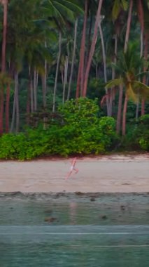 Palmiye ağaçlarının yakınındaki tropikal bir plajda koşan genç turist FullHD Dikey