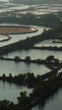 Tayland balık çiftliği insansız hava aracı görüşünden ekin tarlalarının yanında.