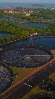 Yeşillik, FullHD dikey karides çiftliğinin çevresini sarar.