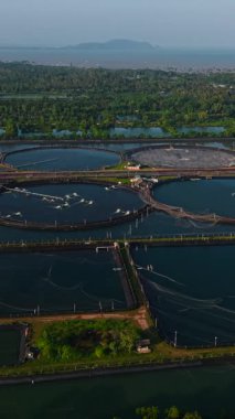 Sürdürülebilir karides üretimi için sayısız göleti olan geniş bir çiftlik - FullHD Dikey