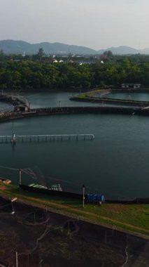 Tayland 'da bir ovada büyük karides çiftçiliği göletleri - FullHD Dikey