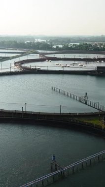 Tayland 'da bir karides çiftliğinde büyük dairesel ağlar - FullHD dikey