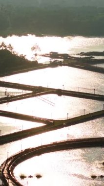 Güneşin altın ışığı karides çiftliklerinin göletlerinden yansıyor - FullHD dikey