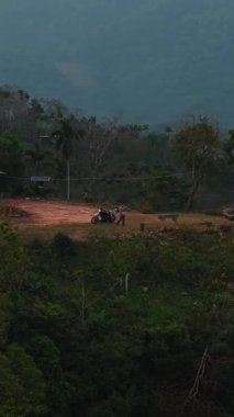 Motorsikletinin yanındaki genç motorcu dağın tepesindeki kütüğü dengeliyor.