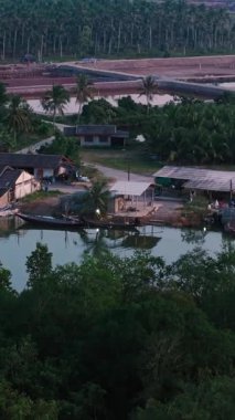 Tayland 'da yemyeşil bir nehrin yanında bulunan balıkçı köyü FullHD Dikey