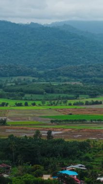 Tayland kırsalındaki dağlar arasındaki ormanlar ve yeşil alanlar - FullHD Dikey