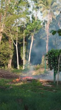 Bir devegetasyon alanında ağaçların yanında yanan kontrollü sakal FullHD dikey