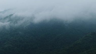 Mae Wong Ulusal Parkı Tayland 'da yemyeşil bitki örtüsüyle kaplı bir dağda hareket eden bulutlar - 4K Yatay
