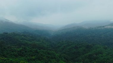 Mae Wong Ulusal Parkı Tayland 'da bulutlar ve sislerle kaplı tropikal orman - 4K yatay