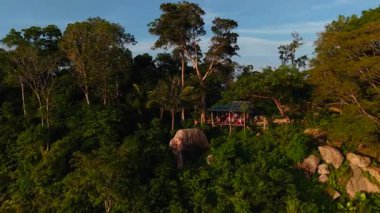 Turistler, insansız hava aracı manzaralı verimli bitki örtüsüyle çevrili kayaların yanına inşa edilmiş ahşap bir kulübede toplanıyorlar.