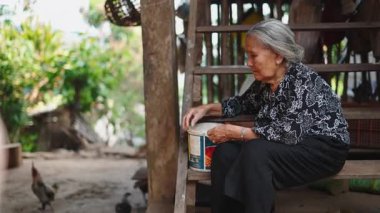 Yaşlı bir Asyalı lahu kadını merdivenlerde oturmuş tavukları besliyor - 4K Yatay