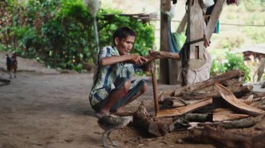Lahu 'nun geleneksel kırsal kesiminde yaşlı bir lahu çiftçisi yakıt için kesiyor - 4K Yatay