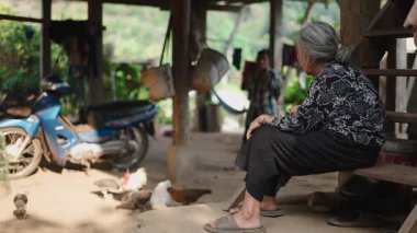 Kuzey Tayland 'dan yaşlı bir lahu kadını ahşap bir verandadan tavuklara yemek atıyor - 4K Yatay