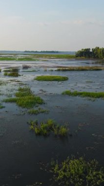 Tayland kırsalında kısmen sular altında kalmış evler FullHD dikey