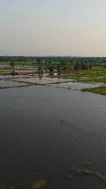 Gün batımında dağların yakınındaki Tayland ovasında sular altında kalan pirinç tarlaları.