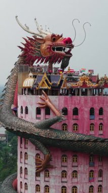 Ejderha heykeli Wat Samhran 'da canlı pembe bir kule etrafında kıvrılır Tayland' da bir Budist tapınağı - FullHD Dikey