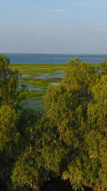 Gün batımında renkli gökyüzünü yansıtan sakin otlaklar İHA görüntüsü - FullHD Dikey