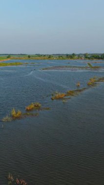 Su basmış pirinç tarlaları, suya yansıyan güneş ışığını yansıtan küçük bir barakanın etrafını sarar.
