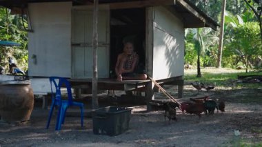 Yaşlı Taylandlı çiftçi tavukların yanındaki ahşap kulübenin kapısında oturuyor - 4K Yatay