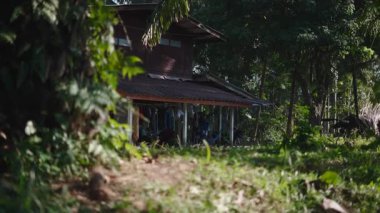 Büyüleyici kır evi Tayland 'da yeşil bir ormanın ortasında - 4K Yatay