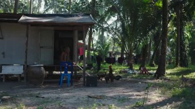 Horozlar, Asya 'daki basit kırsal yaşamı gösteren yemyeşil ağaçlarla çevrili bir kır evinin etrafında özgürce dolaşıyorlar - 4K Yatay