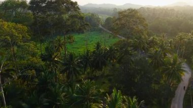 anten, açık hava, alternatif ağaç, orman, yol, ev, gökyüzü, drone, yaşam tarzı, demiryolu, yaprak, yerel alan, dağ, motosiklet, motorcu, doğal, doğa, pasifik, manzara, palmiye ağacı, ulusal park, plantasyon, bitkiler