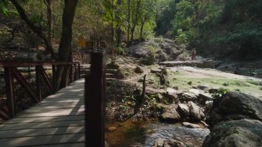 Yeşillik yağmur ormanlarında ahşap geçitten geçen bir gezgin.