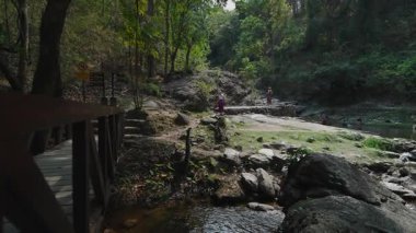 Family enjoying a hike in a beautiful forest setting, crossing a small stream