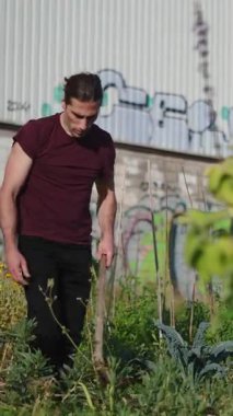 Genç çiftçi bir meyve bahçesindeki toprağı çapalıyor.