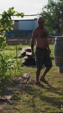 Çıplak göğüslü çiftçi, küçük bir üzüm bağındaki üzüm bağlarını inceliyor.