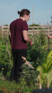 Rengarenk bahçe arazisi yakınlarında yeni toplanmış sebzeleri inceleyen iki çiftçi