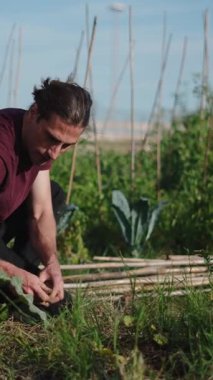 Şehir bahçesinde çalışan genç çiftçi.