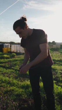 Genç profesyonel, sera yakınlarındaki dijital tabletteki sebze ürünlerini inceliyor.