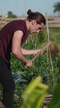 Genç çiftçi manuel çapayla bahçe arazisi işliyor.