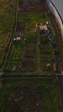 Tarım arazisinde, alacakaranlıkta yol kenarındaki kompakt sebze arsaları yer alıyor.