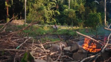 Yangın ormandaki kuru dalları yakarken çiftçi akıllı telefonunun ekranına danışıyor - 4K Yatay