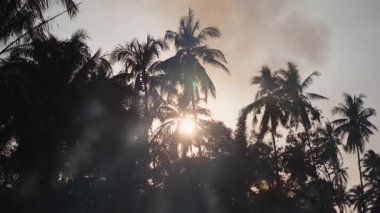 Yükselen duman, Asya 'da palmiye ağaçları ve günbatımına karşı 4K Yatay