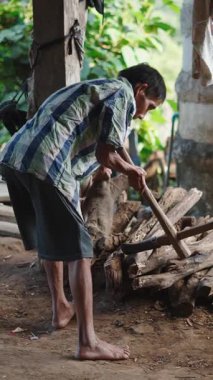 Kuzey Taylandlı Lahu kabilesi çiftçisi FullHD dikey baltayla odun kesiyor.