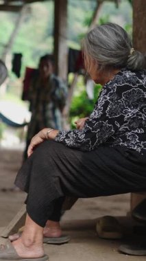 Kuzey Tayland 'dan yaşlı bir lahu kadını ahşap bir verandadan tavuklara yemek atıyor.