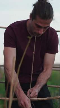 Çiftçi, bitki yetiştirmek için doğal destek yapısını dikkatlice örüyor.