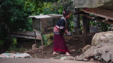 Geleneksel Tayland elbisesi içinde çıplak ayaklı olgun bir kadın mütevazı bir kırsal alanda çiftlik hayvanlarını besler - 4K Yatay