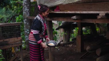 Taylandlı olgun kadın kırsal bir çiftlikte tavukları beslerken mutlu bir şekilde gülümsüyor - 4K Yatay