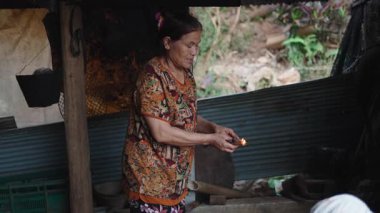 Geleneksel Asya yemeğini hazırlamadan önce kırsal bir sobanın içinde odun yakan yaşlı kadın - 4K Yatay