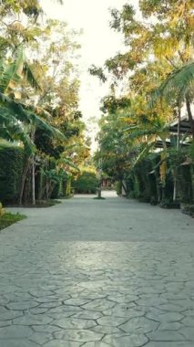 Etrafı bungalovlar ve yeşilliklerle çevrili tropikal bir tatil köyünden geçen asfalt bir yol.