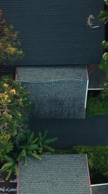 Birçok tropikal yeşillik tatil köylerinin etrafını sarar - FullHD Dikey